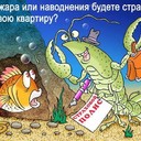 https://legalinsurance.ru/images/groupphotos/13/72/thumb_444c9298b0b787a597de8660.jpg